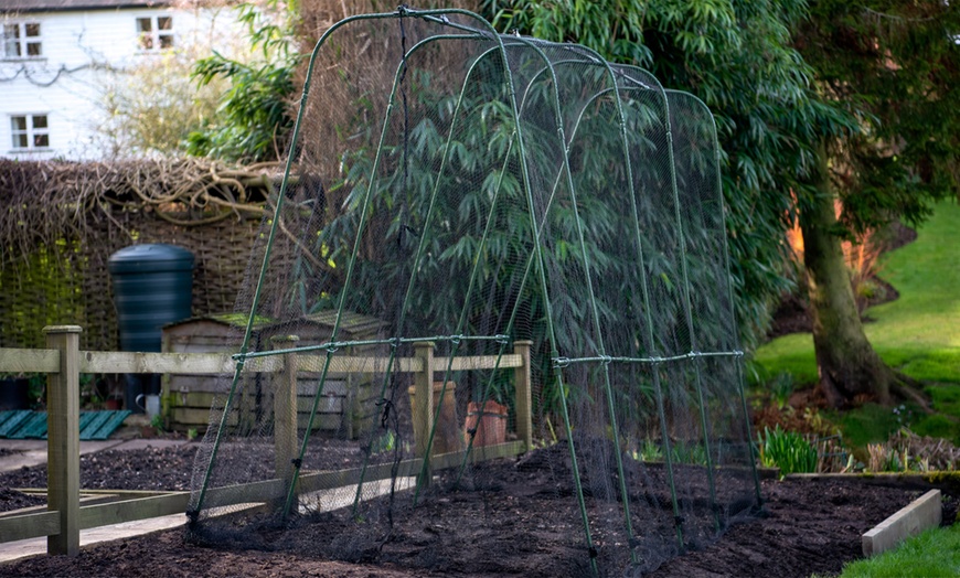 Image 1: Garden Gear Walk-In Crop Cage