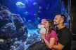 Erlebe die faszinierende Unterwasserwelt im SEA LIFE Hannover – Ticket für 1 Kind oder 1 Erwachsenen - Second Medium