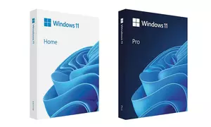 Microsoft Windows 11 Pro oder Family (Home) als Download (bis zu 84% sparen)