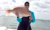 GetFishyCharters Offers Private Dolphin Tour or Jetty/Channel Fishing for Up to 6 People (Up to 29% Off)