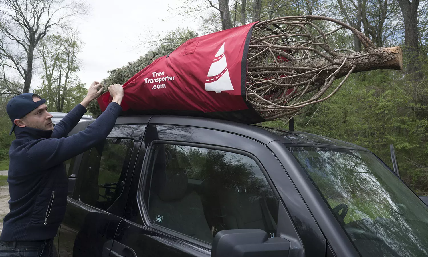 TreeTransporter Christmas Tree Car Rooftop Carrier (1- or 2-Pack) - Primary Image