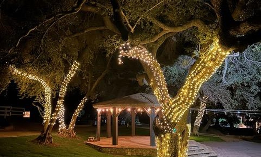 Image 4: Magical Wine & Spirit Fest ''Evening Under the Stars'' on 08/09 