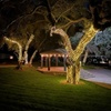 Image 2: Country in the Canyon Wine & Spirits Fest