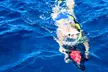 Morning Lana‘i Snorkeling Tour or Book a Private Charter with Kaanapali Ocean Adventures (Up to 10% Off)
 - Second Medium