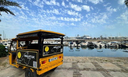 Tour: TukTuk 1 hora / 1 persona (en Grupo) / Valencia - Walktuk