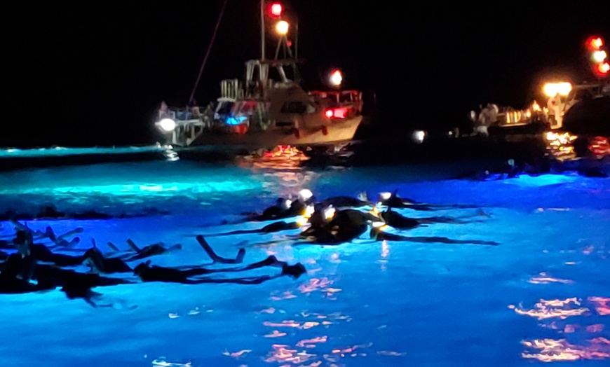 Image 7: Manta Ray Snorkeling Trip in Kona, Hawaii - Small Group & Longest Tour