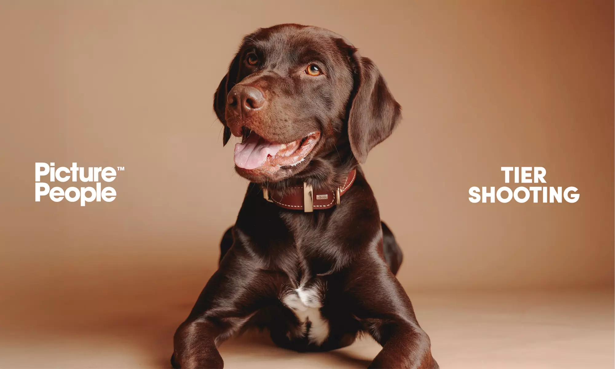 90 Min. Haustier Fotoshooting Erlebnis inkl. 2-5 Bildern + Geschenk bei PicturePeople (bis zu 73% sparen) - Primary Image