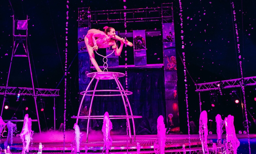 Image 6: Ticket für den "Waterland Zirkus"