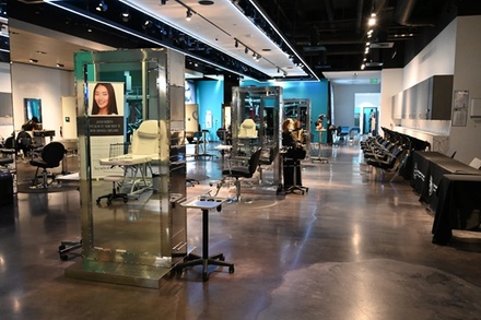 Shampoo w/ Blow Out - Elaine Sterling Institute