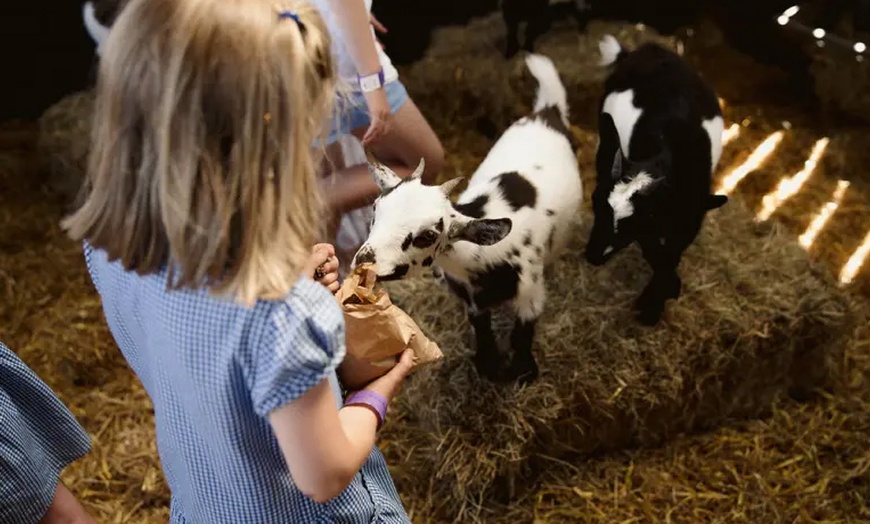 Image 2: This Halloween & Christmas Peak Time Farm and Soft Play Ticket 