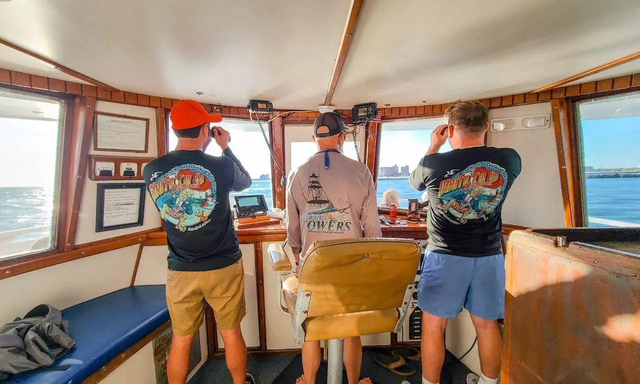 Gulf of Mexico Dolphin Cruise: 1.5-2 Hours, Dolphin Sight Guaranteed