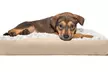 FurHaven Pet Ultra Plush Deluxe Pillow Dog Bed - Second Medium