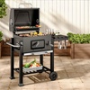 Image 16: Charcoal BBQ Grill with a Trolley in Various Sizes