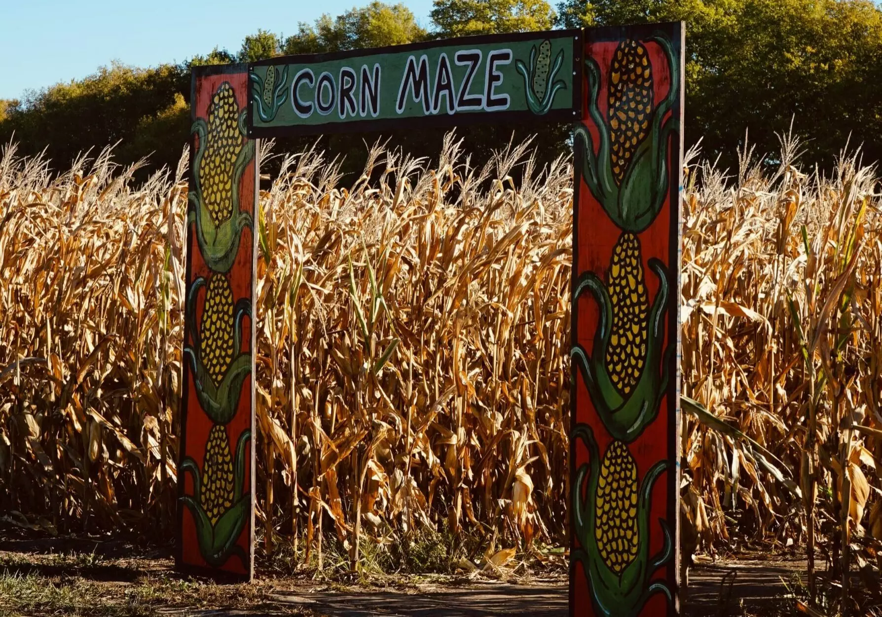 BEE KIND Corn Maze Adventure at Twins BBQ Co