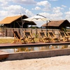 Image 18: Zimbabwe: 7-Night Yoga & Safari Retreat