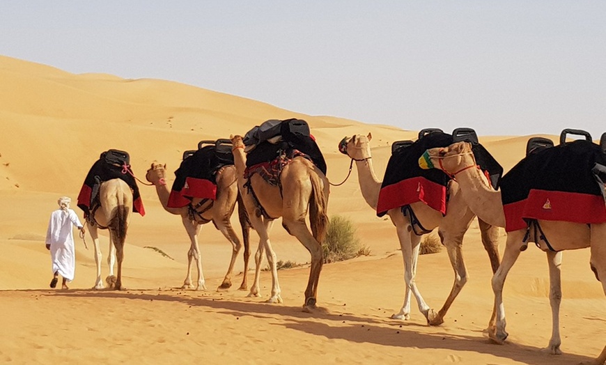 Image 5: Desert Safari with Dinner, Shows