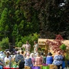 Image 11: Ticket to BBC Gardeners’ World Autumn Fair | August 30 & 31