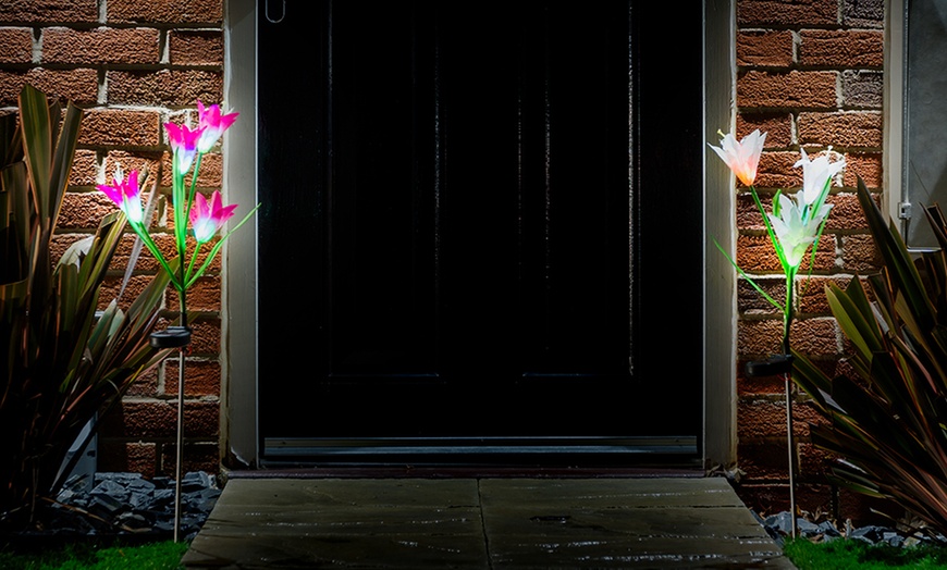 Image 2: Two-, Four- or Six-Pack of Solar Lily Flower Lights