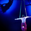 Image 2: Le Cirque Nicolas Bouglione : du 25/05 au 22/06 à Bruxelles