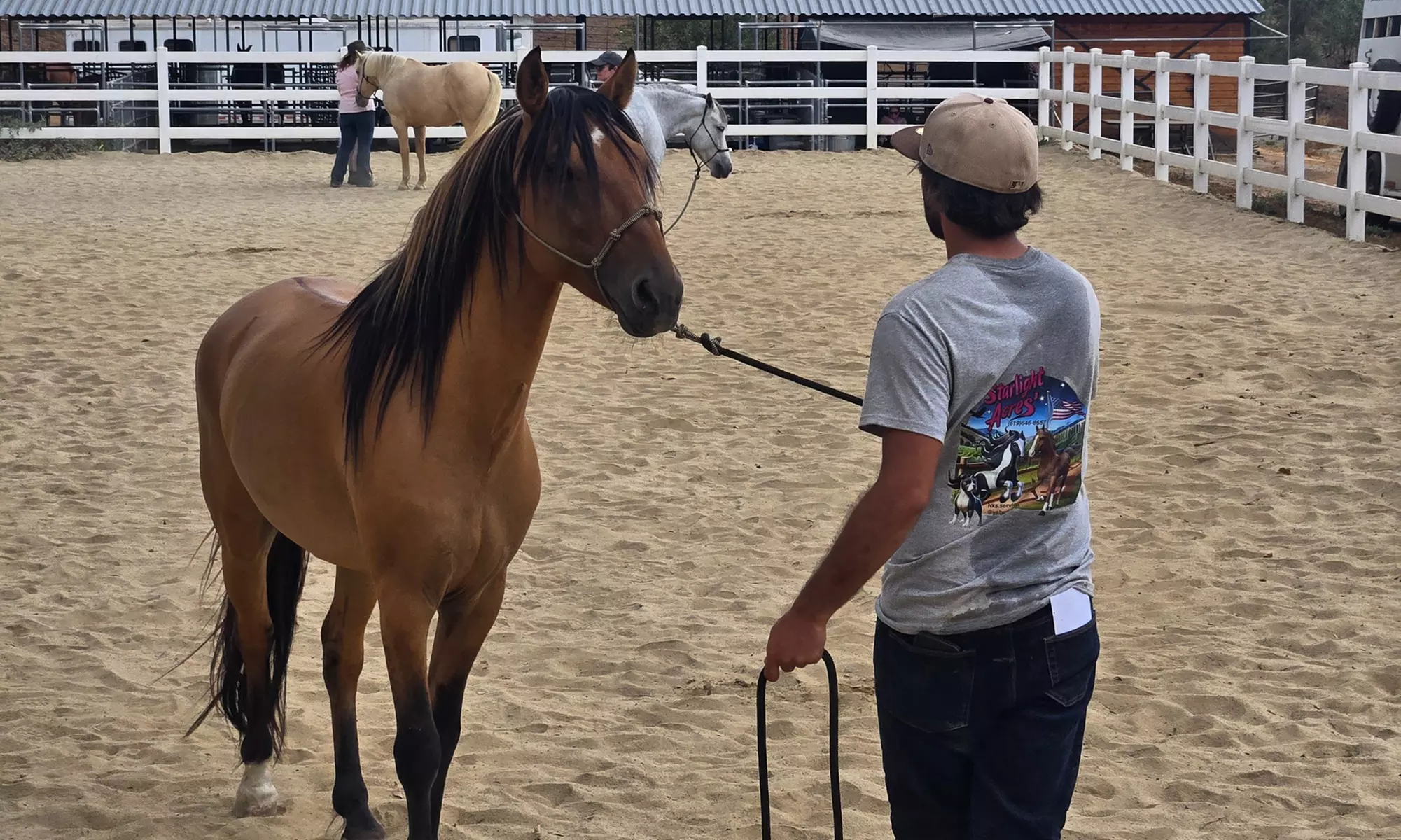 Private, Group, And 8-Week Horseback Riding Lessons For All Levels