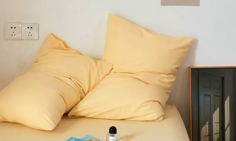 Pure Cotton 2 Piece Pillowcase Set