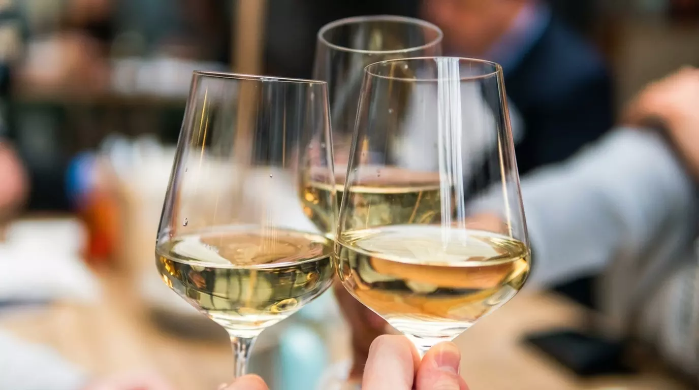 Wine Tasting & Cheese Platter for 2 or 4 with Optional Bottle of Wine