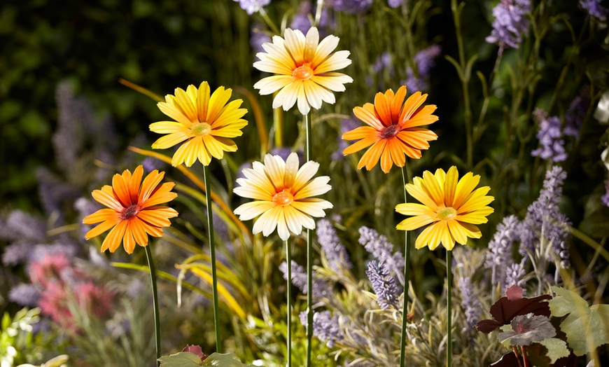 Image 10: 6 or 12 Pack of Metal Flower Stakes - Pansy / Sunflower / Daisy
