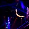 Image 4: Big Apple Circus - Up to 25% Off