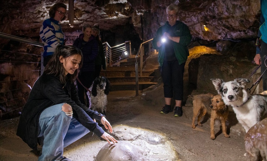 Image 4: Weekend Self-Guided Cavern Walking Tour; Not Valid 29/11 - 04/01/2026