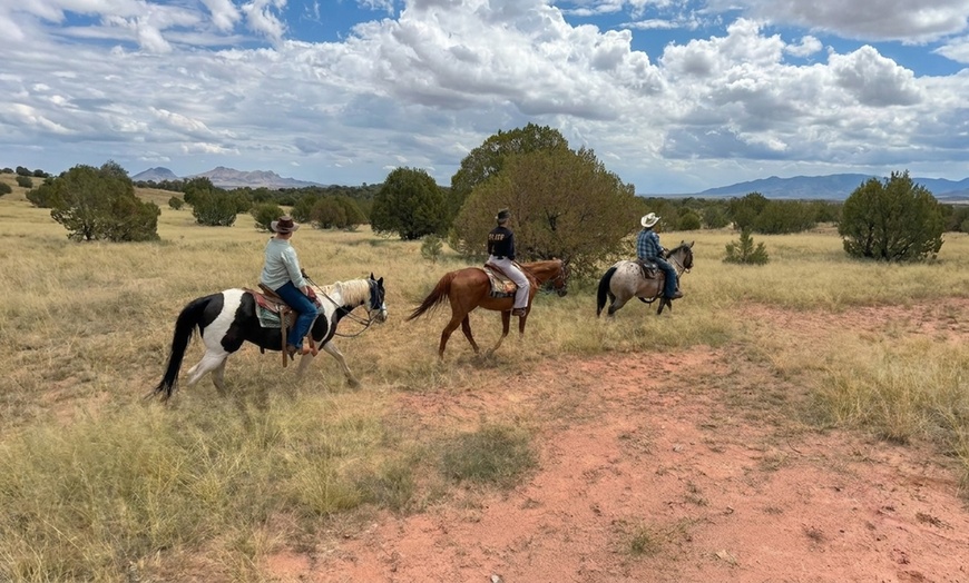 Image 7: Scenic Trail Rides at Double R Ranch – All Skill Levels Welcome