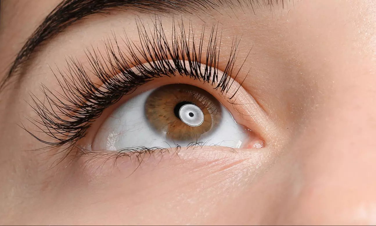 Classic or Volume Lash Extensions + 3-Week Refill Option