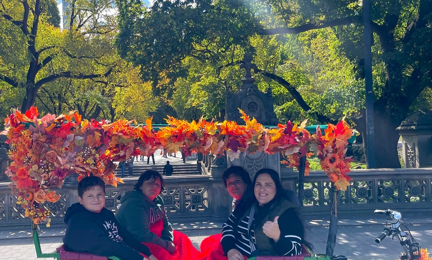 Image 20: Central Park Pedicab Tour: Classic, Deluxe or Elite PediCab Tour