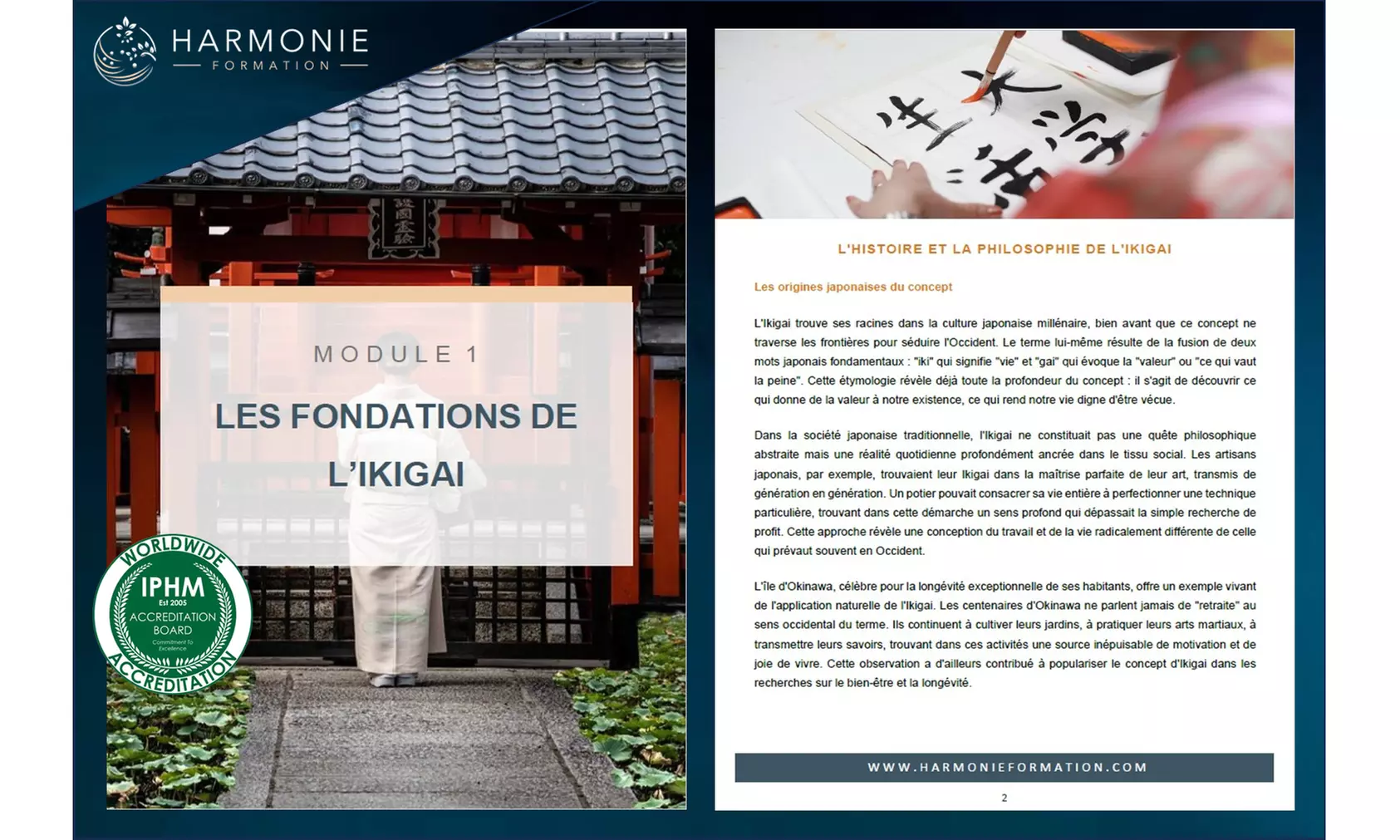 Formation Ikigai : coaching, sens & développement personnel