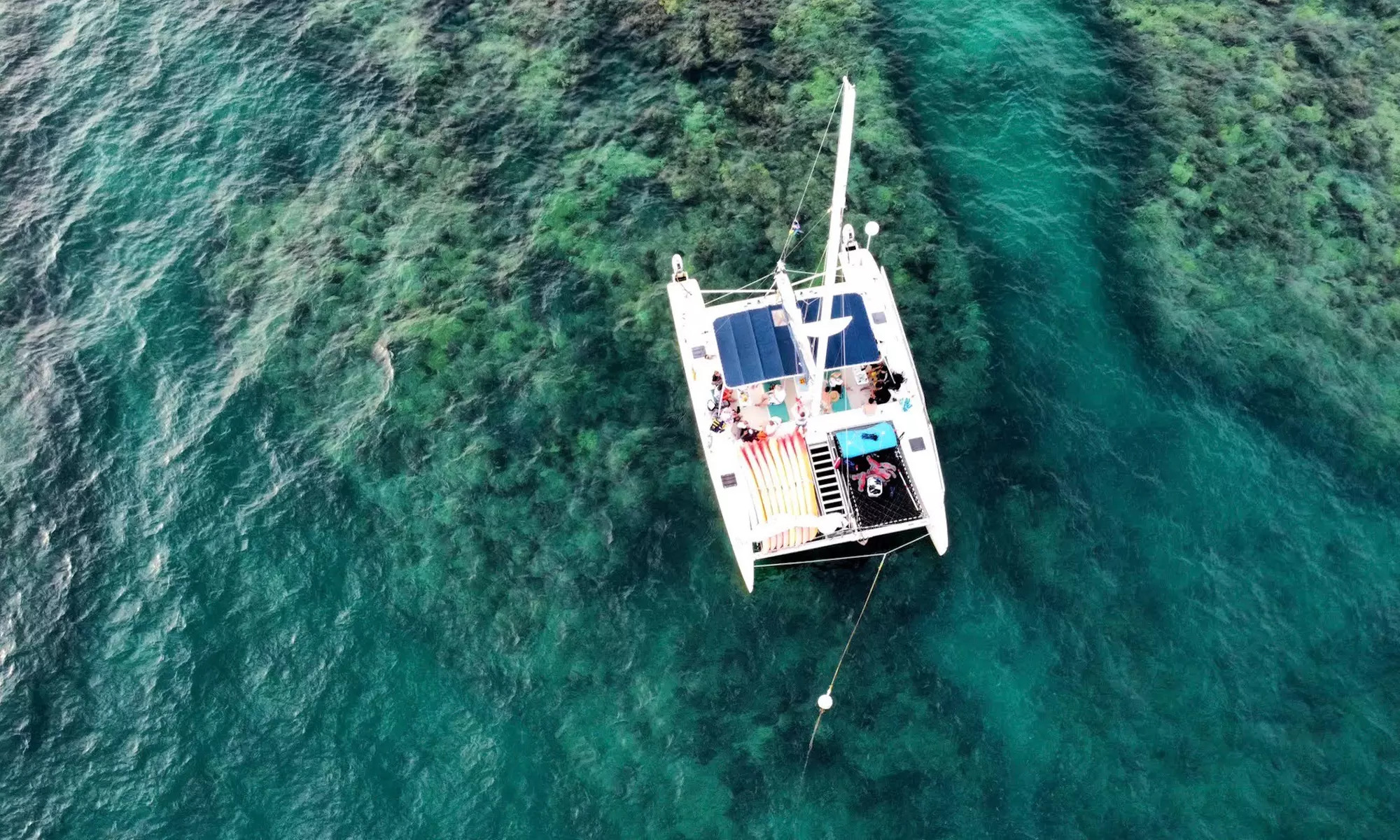 Sunset Sail and Dolphin Search Aboard Honest Ecos Sailing Catamaran (Up to 30% Off) - Primary Image