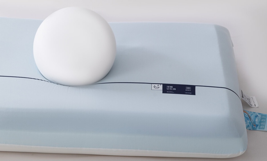 Image 16: The Little Dreams Foam Pillowcase (Twin Edition)