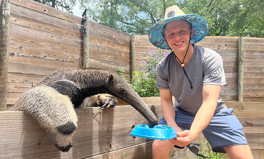 Image 4: Experience Wildlife - Admission to North Florida Wildlife Center