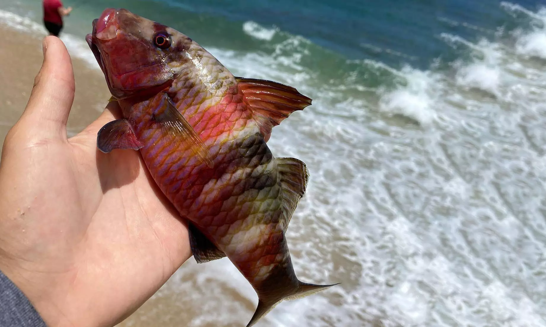 Group or Private Fishing Tour for Two or Four People
