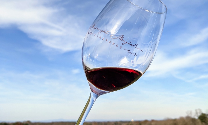 Image 2: Up to 20% Off on Wine / Vineyard Tour at NC Wine Gals