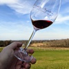 Image 2: Up to 20% Off on Wine / Vineyard Tour at NC Wine Gals