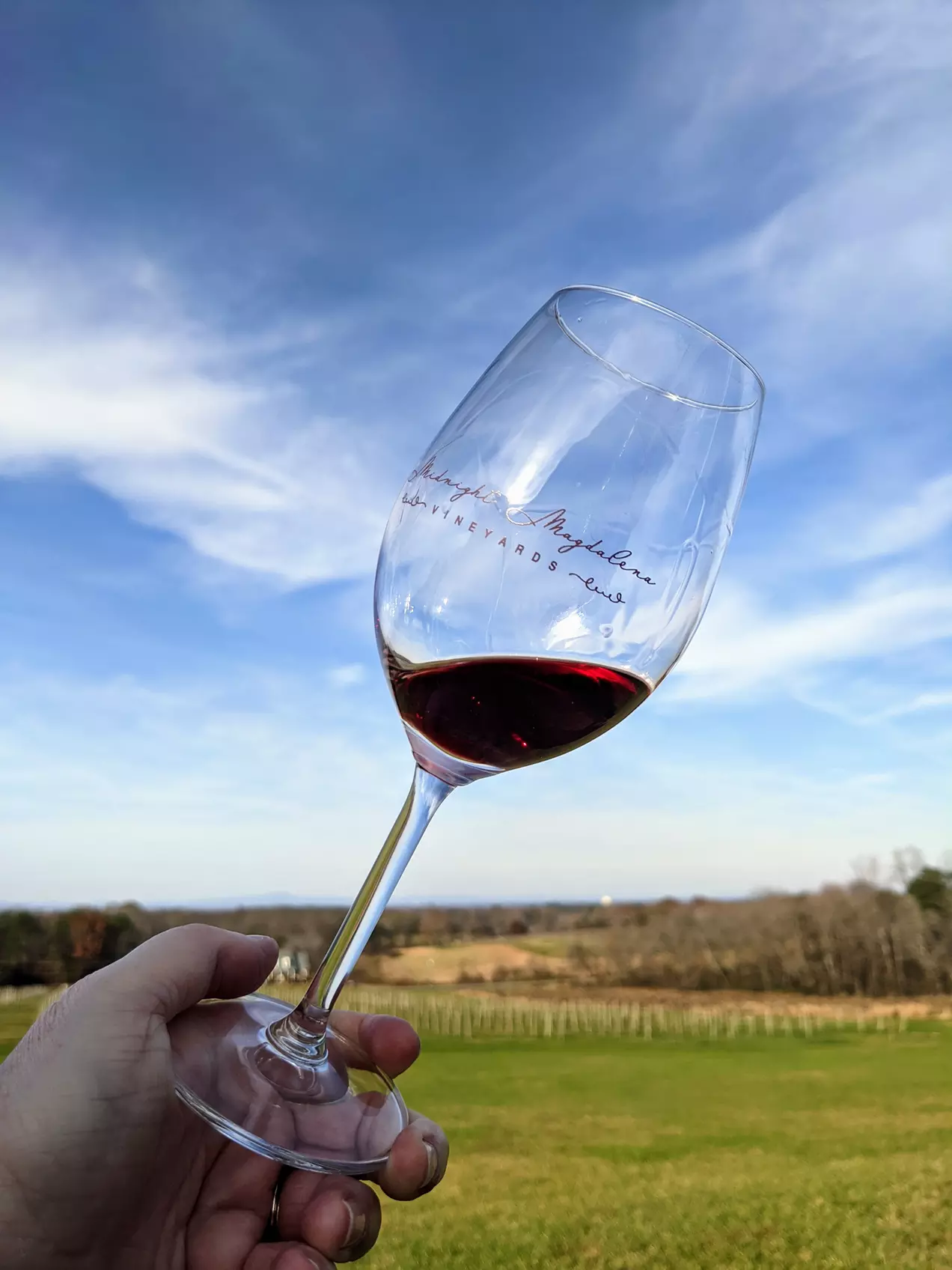 Sip and Savour: Vineyard Wine Tour