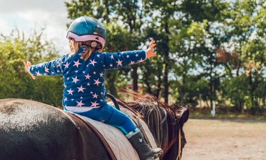 Image 9: Horseback Trail Ride Through Hudson Valley (45 Minutes)