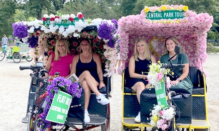 60 Minutes Classic Central Park Tour - For up to 3 People - Jamesoz Group LLC - New York