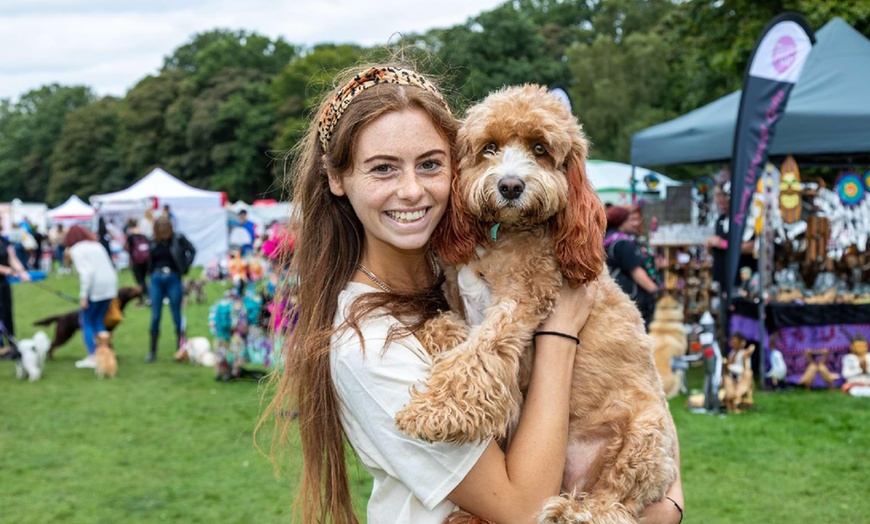 Image 4: DogFest 2025 | Your Favorite Dog-Friendly Festival 