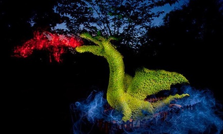 Entrada para 1 niñ@ a El Bosque Encantado - El Bosque Encantado