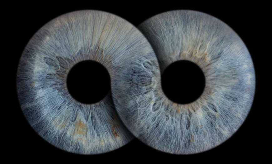 Image 2: Iris-Fotoshooting opt. mit Effekt für 1 - 4 Personen