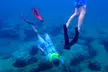 Guided Snorkel Tour w/ Professional Photos under Florida Skies | Groups of 1-4 - Second Medium