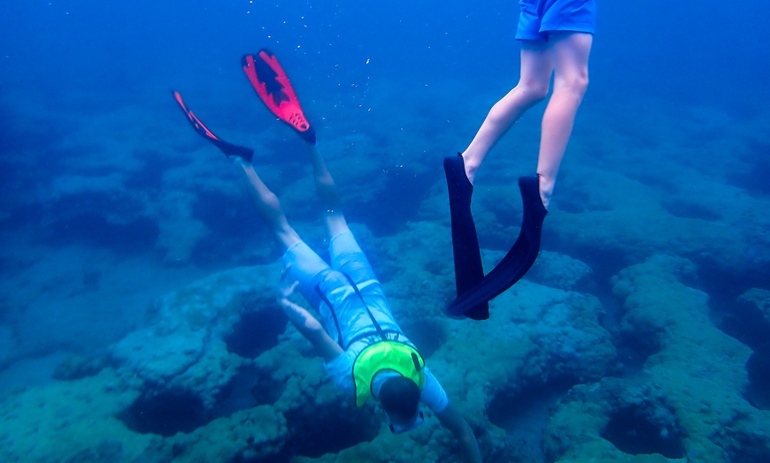 Image 10: 90-Minute Guided Snorkel Tour with Professional Photos for 1, 2, or 4