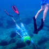 Image 10: 90-Minute Guided Snorkel Tour with Professional Photos for 1, 2, or 4