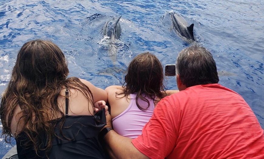 Image 10: Hawaiian Speed Boat Tour w/ Reef Snorkel, Sea Cave, Dolphins & Whales
