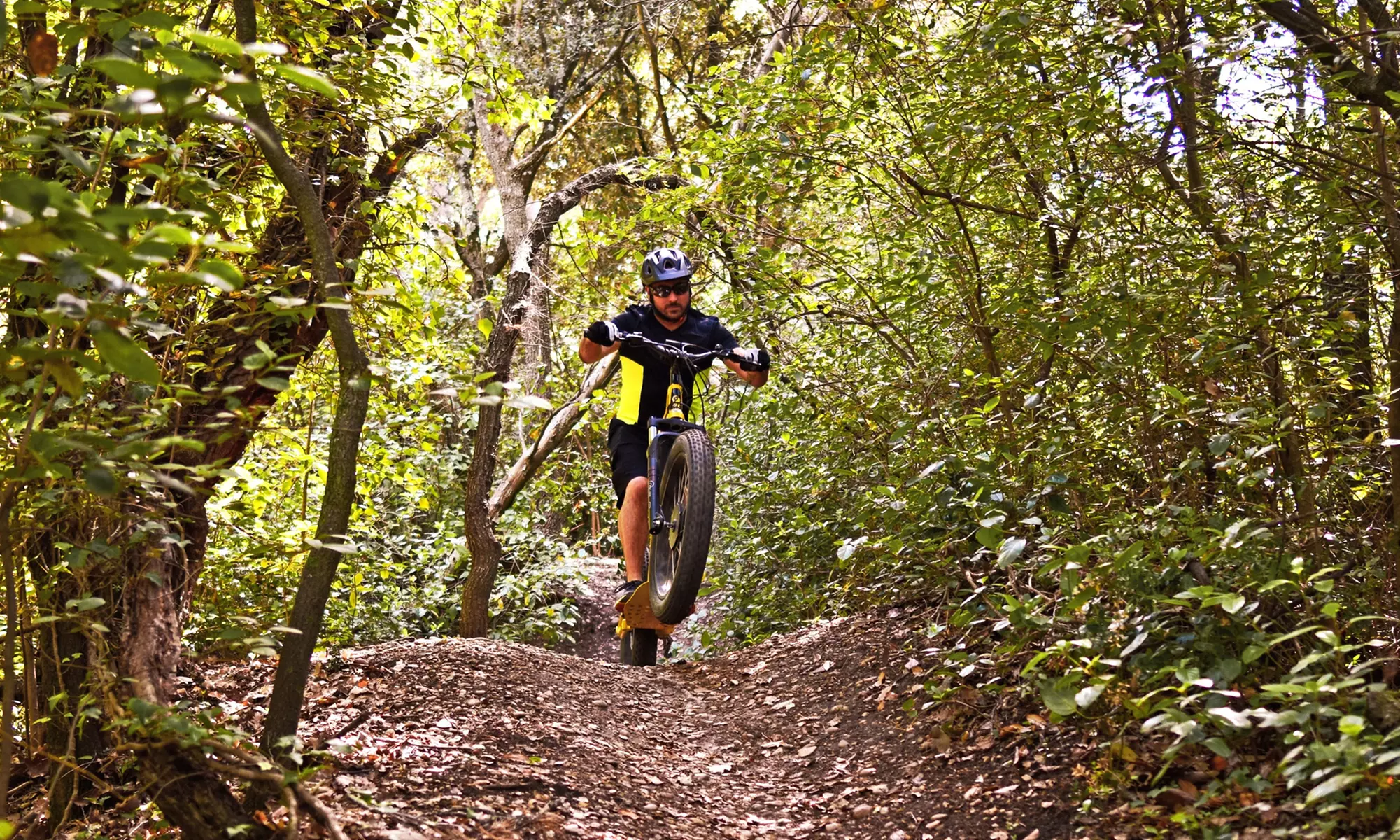 Jusqu'à 41% de remise sur Vélo / Deux roues / Bicyclette - Location chez TROTT EMOTION